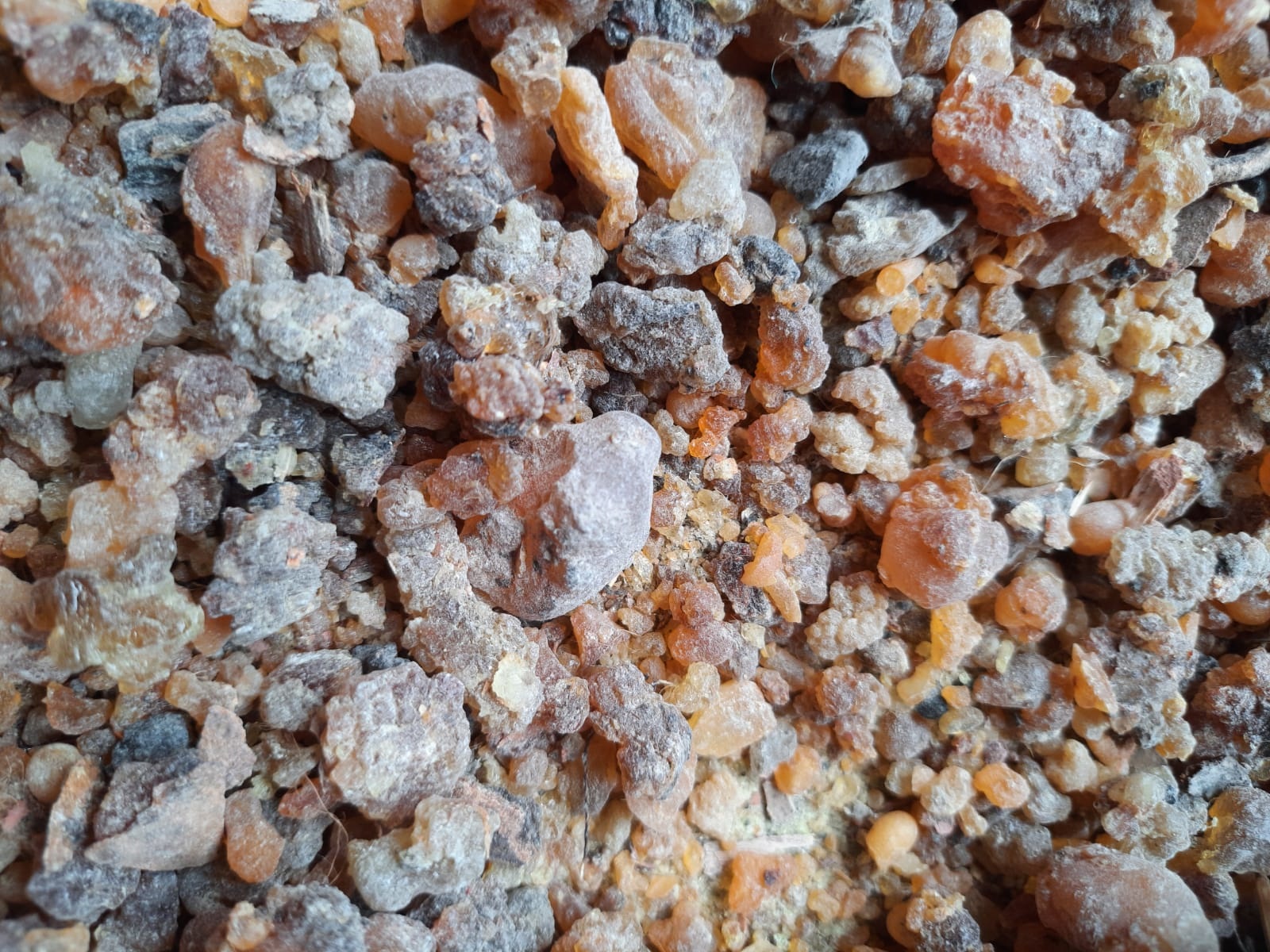 Traditional Frankincense Resins